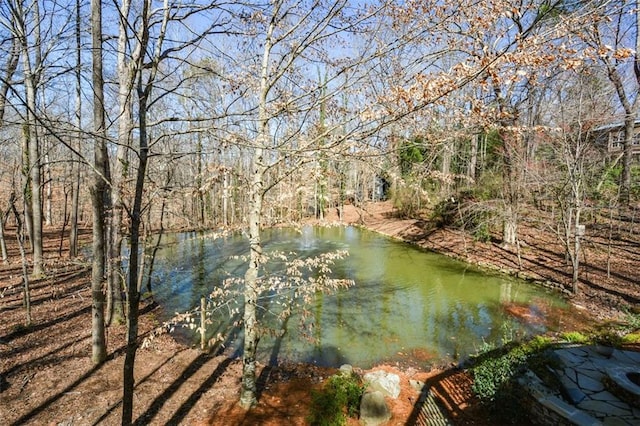 view of water feature