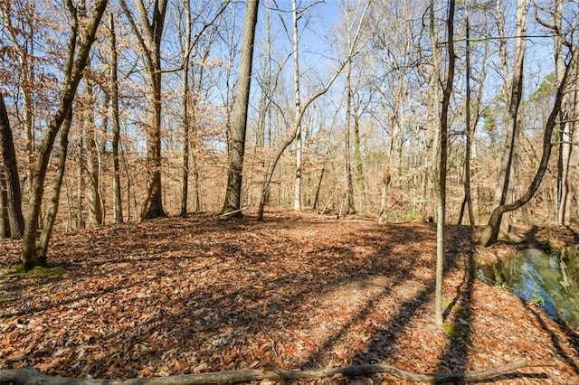 view of landscape featuring a view of trees