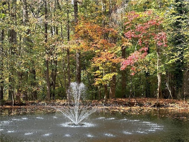 property view of water featuring a wooded view