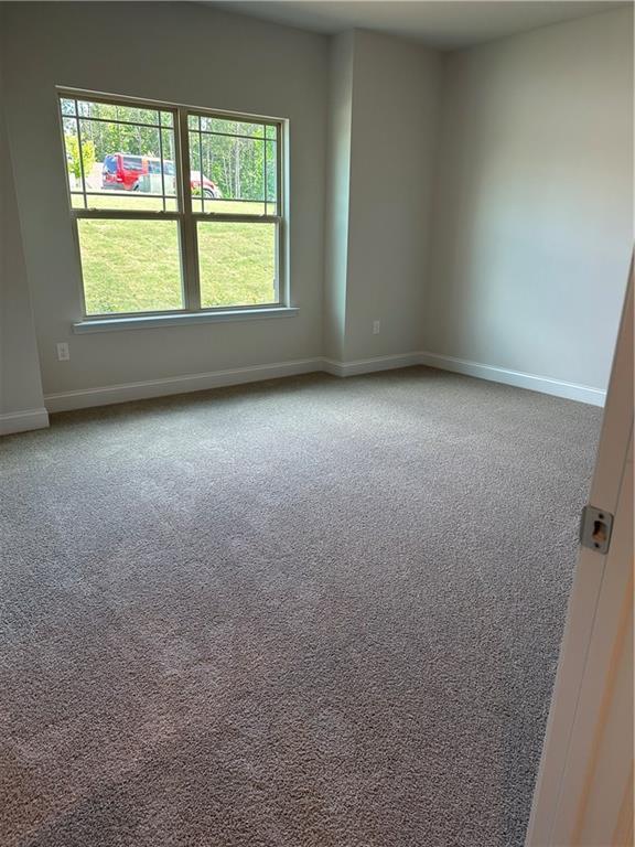 spare room with carpet