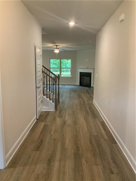 hallway with dark hardwood / wood-style floors