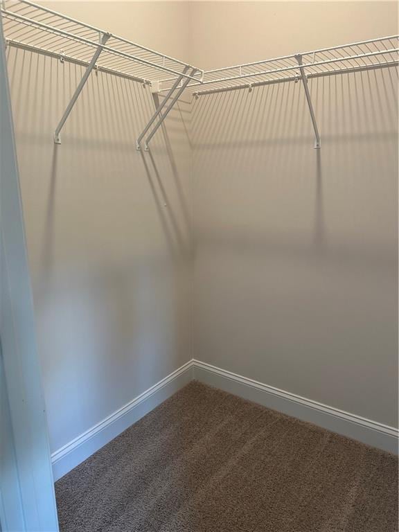 spacious closet with carpet flooring