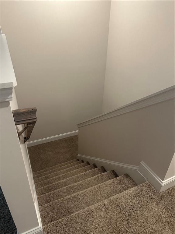 stairs featuring carpet and baseboards