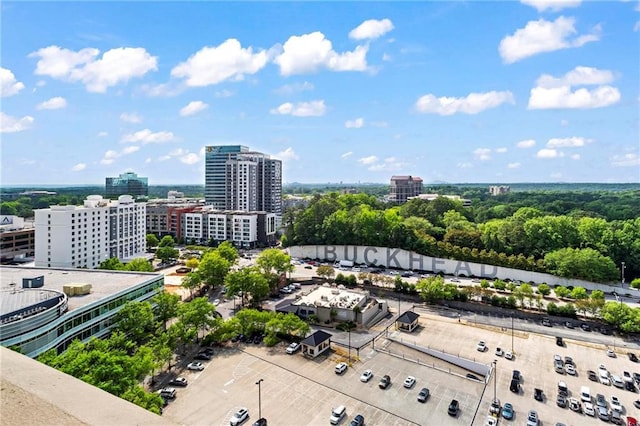 3334 Peachtree Rd NE Unit 1609, Atlanta, GA 30326 - view of urban area