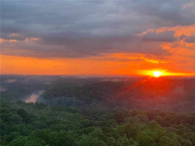 view of nature at dusk