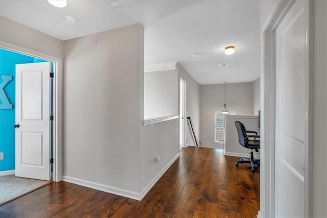 unfurnished office featuring dark hardwood / wood-style flooring