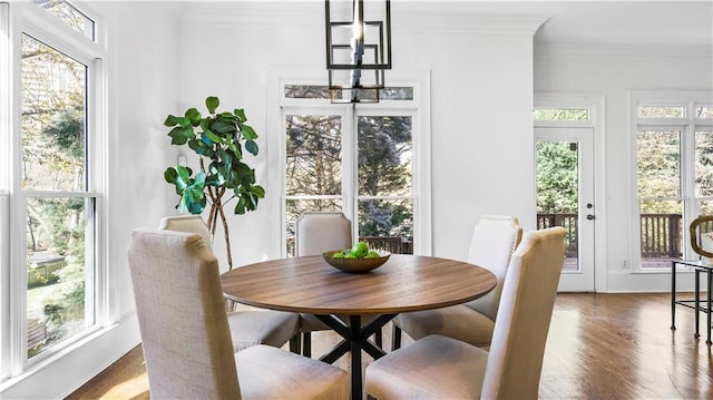 dining space with crown molding, plenty of natural light, and hardwood / wood-style floors