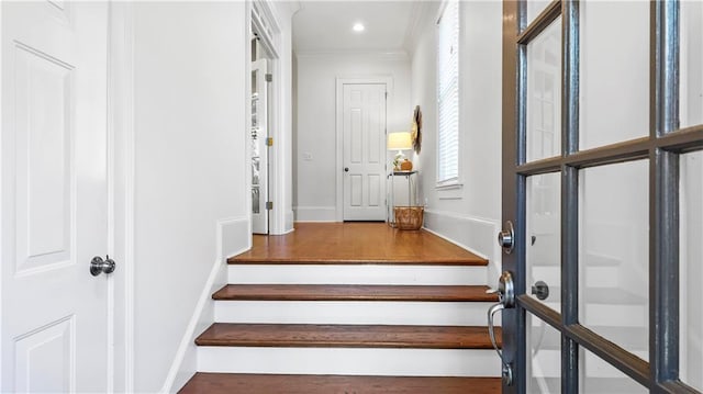 staircase featuring ornamental molding