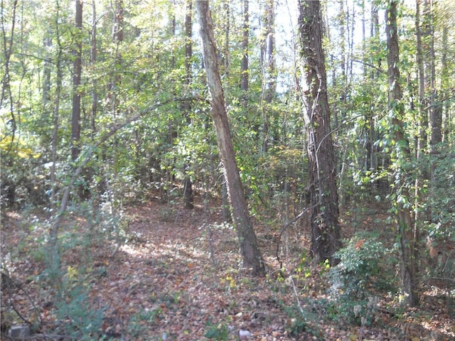 Listing photo 3 for 1661 Young Rd, Lithonia GA 30058