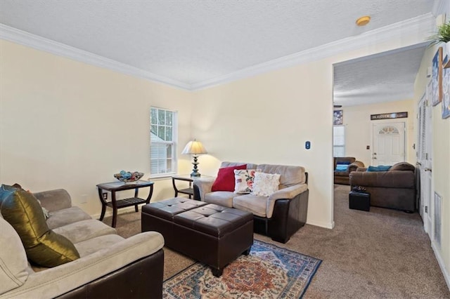 living room with crown molding, a textured ceiling, and carpet