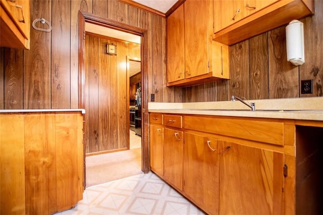 kitchen with ornamental molding, wooden walls, and sink