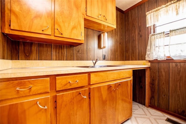 kitchen featuring sink and wooden walls