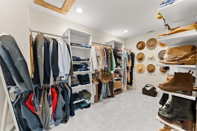 spacious closet with light carpet