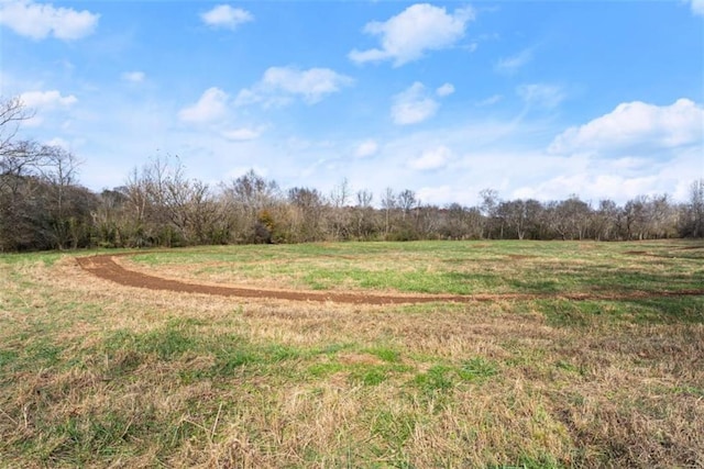 view of yard with a rural view