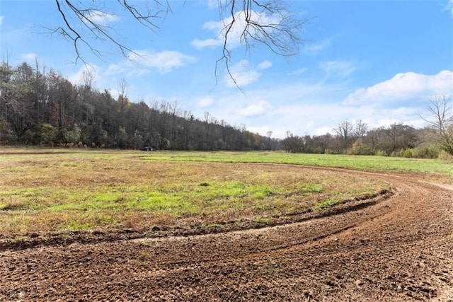 view of yard with a rural view