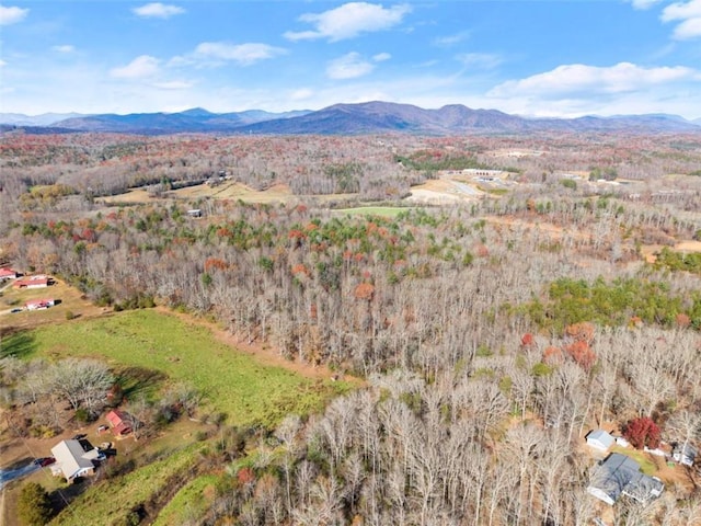 drone / aerial view with a mountain view