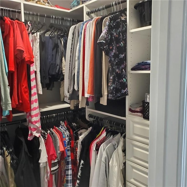 view of walk in closet