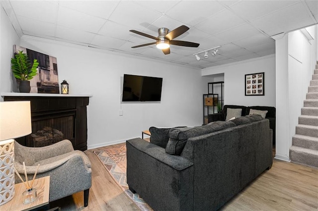 living room with a paneled ceiling, crown molding, ceiling fan, and light wood-type flooring