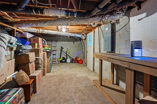 basement with electric panel