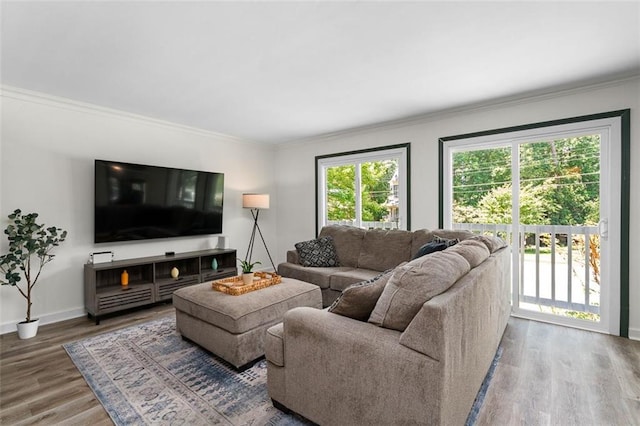 living room with hardwood / wood-style floors, crown molding, and a wealth of natural light