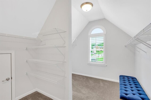1473 Cardova Pointe, Dunwoody, GA 30338 - spacious closet featuring carpet floors and vaulted ceiling
