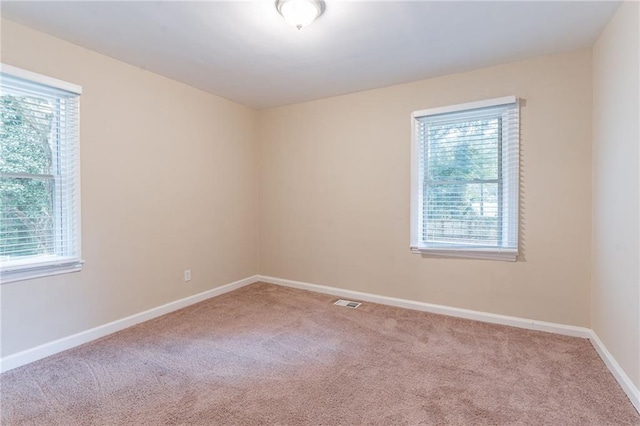 carpeted spare room featuring a wealth of natural light