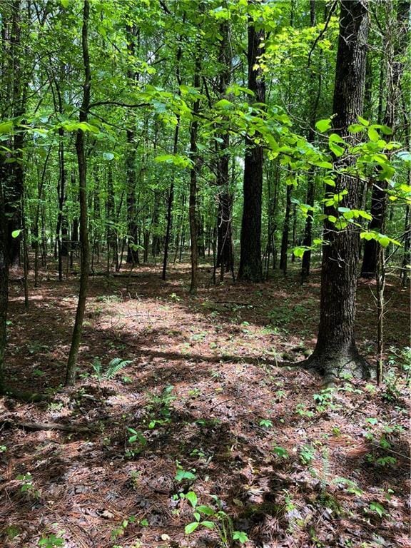 0 E Teems Rd, Ringgold, GA 30736