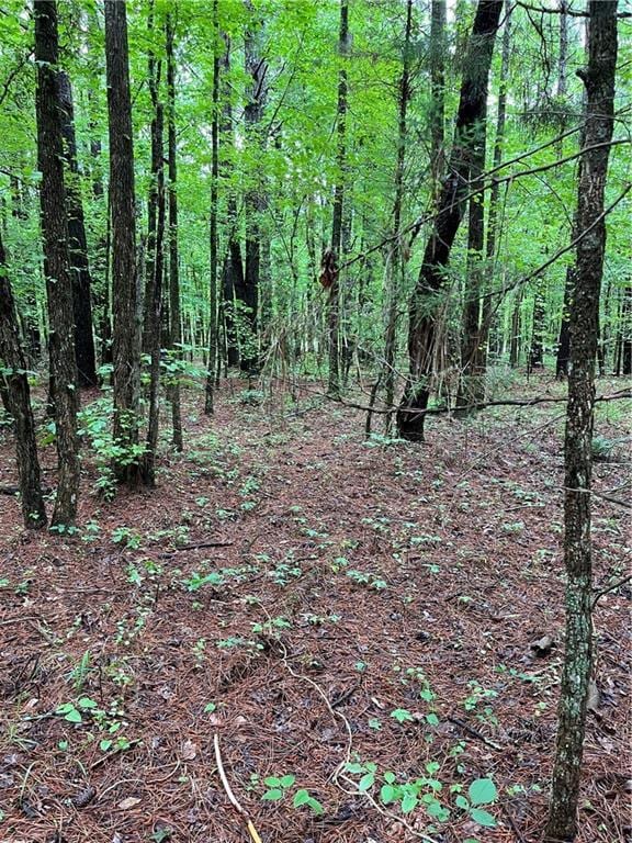 0 E Teems Rd, Ringgold, GA 30736