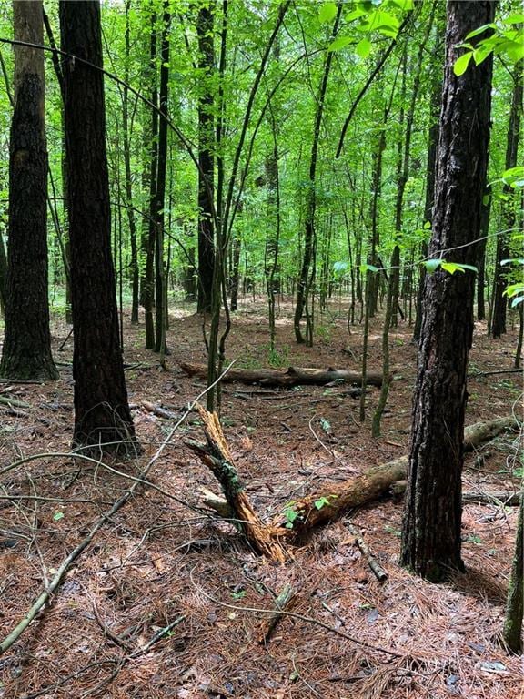 0 E Teems Rd, Ringgold, GA 30736
