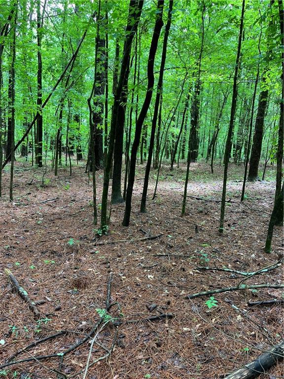 0 E Teems Rd, Ringgold, GA 30736