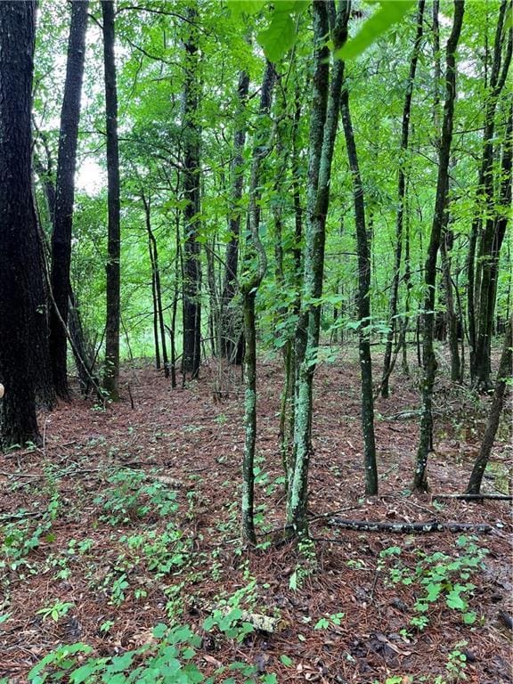 0 E Teems Rd, Ringgold, GA 30736