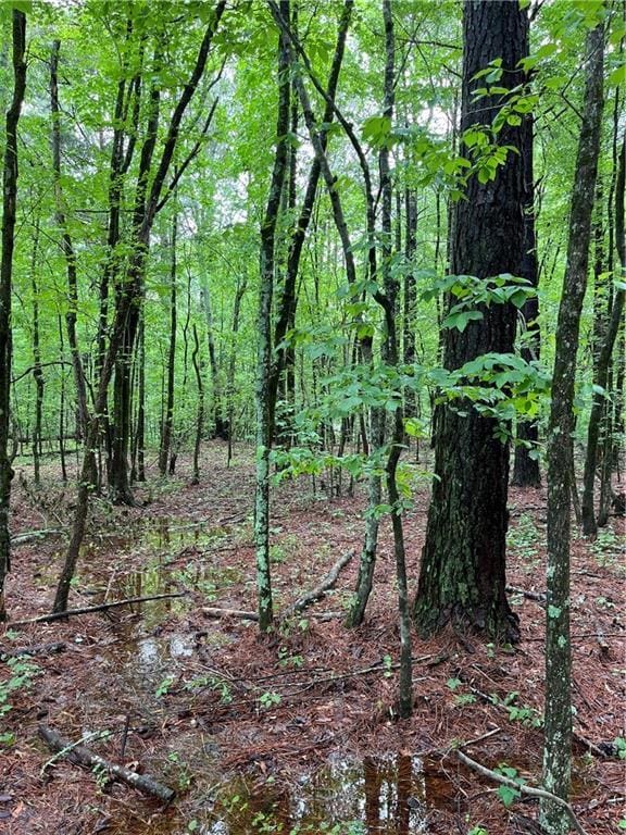 0 E Teems Rd, Ringgold, GA 30736