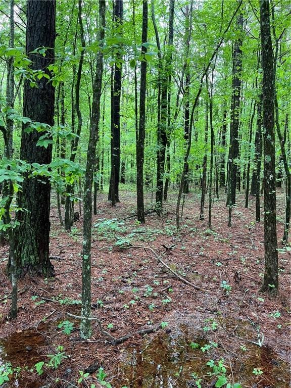 0 E Teems Rd, Ringgold, GA 30736
