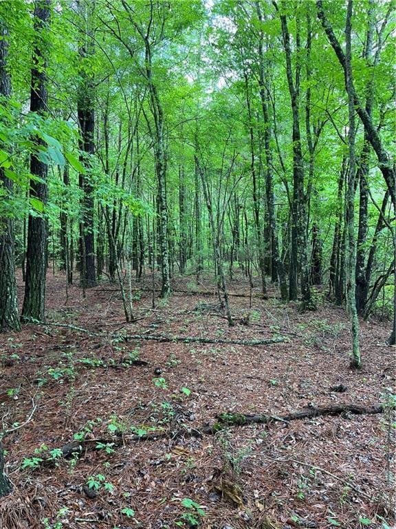 0 E Teems Rd, Ringgold, GA 30736