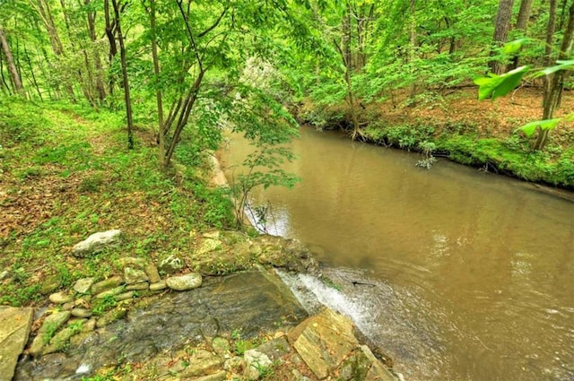 179 Huckleberry Ln, Ellijay, GA 30536 - water view