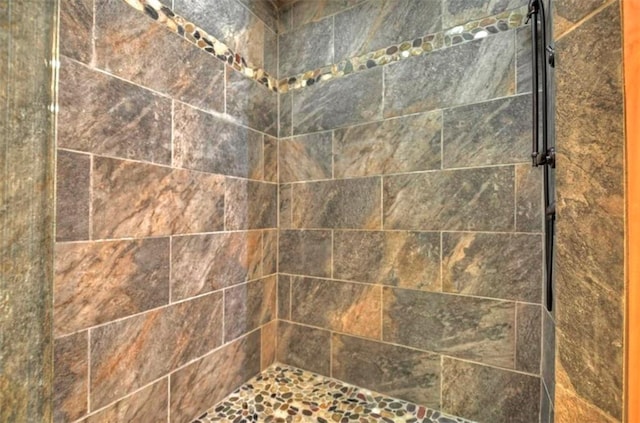 179 Huckleberry Ln, Ellijay, GA 30536 - bathroom view of a tile shower