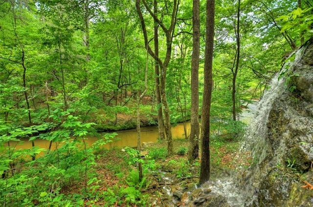 179 Huckleberry Ln, Ellijay, GA 30536 - view of wooded area