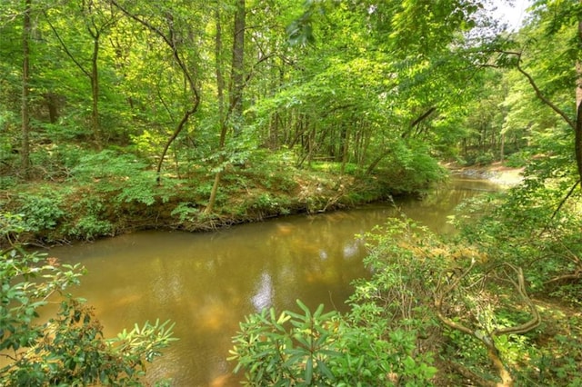 179 Huckleberry Ln, Ellijay, GA 30536 - water view featuring a heavily wooded area