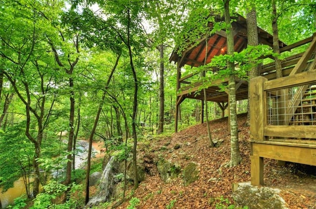179 Huckleberry Ln, Ellijay, GA 30536 - view of woods