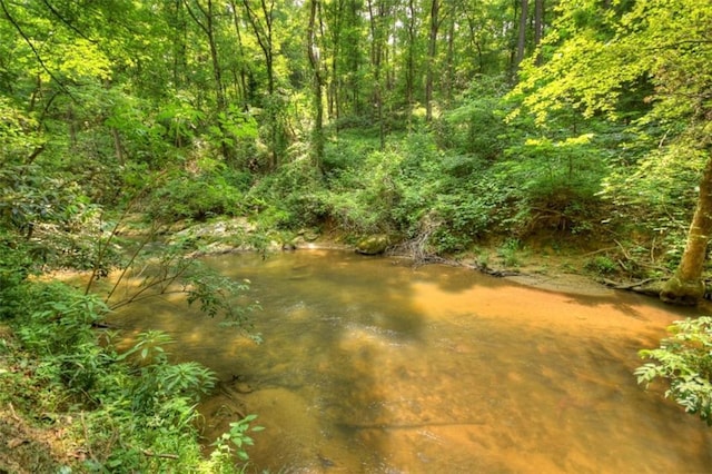 179 Huckleberry Ln, Ellijay, GA 30536 - view of yard featuring a forest view