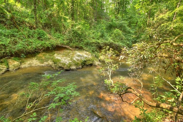 179 Huckleberry Ln, Ellijay, GA 30536 - view of undeveloped land