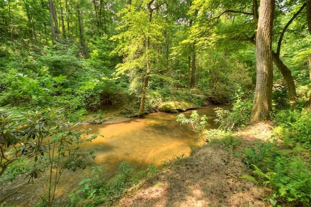 179 Huckleberry Ln, Ellijay, GA 30536 - view of wooded area