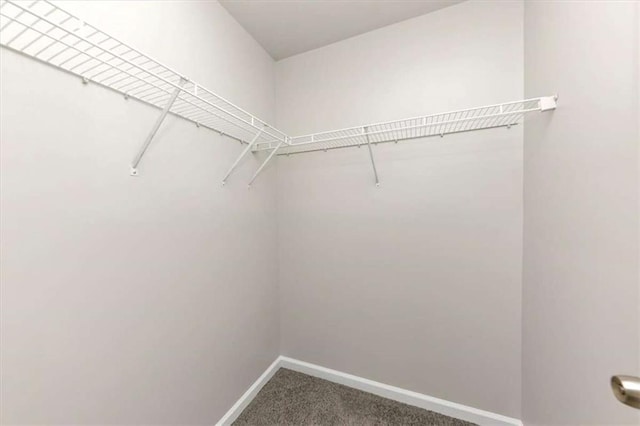 walk in closet with carpet