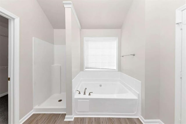 bathroom featuring plus walk in shower and wood-type flooring