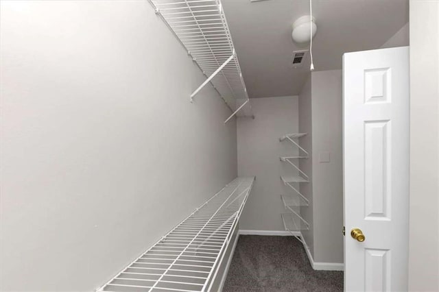 walk in closet with dark colored carpet