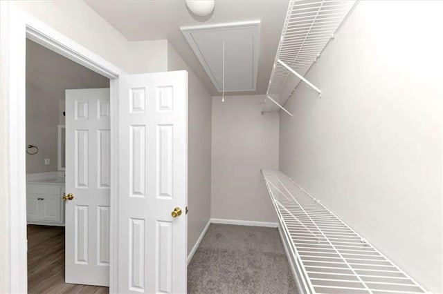 view of spacious closet