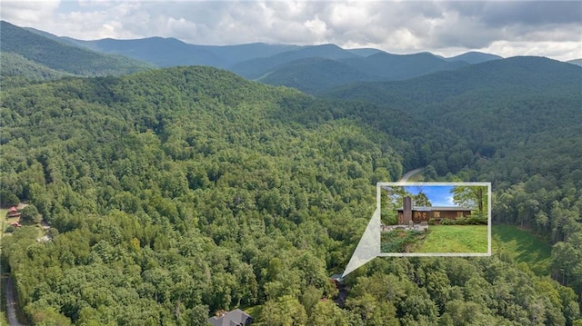 birds eye view of property with a mountain view