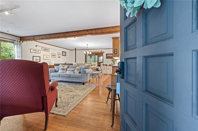 living room featuring rail lighting, a chandelier, and light hardwood / wood-style floors