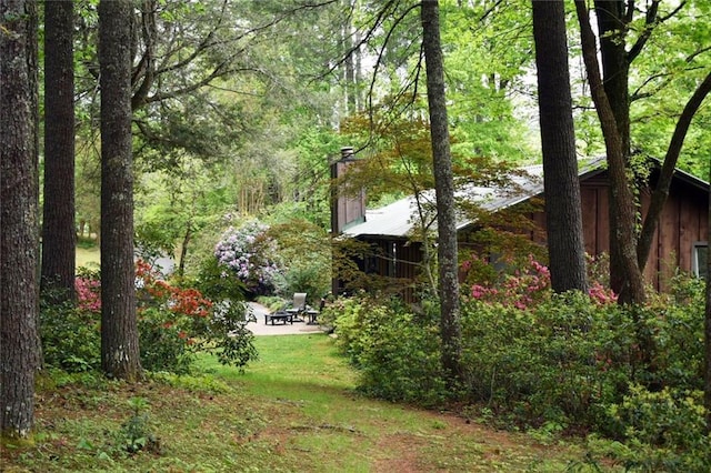 view of yard featuring a patio area