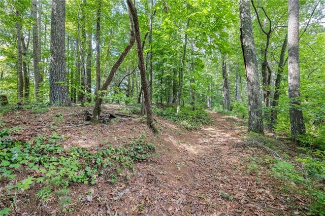 view of landscape